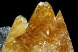 Calcite, Sphalerite, & Celestine (Celestite) Association - Elmwood Mine #89960-3